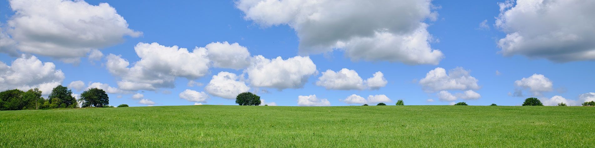 Eine grüne Wiese, ein blauer Himmel und große weiße Wolken.